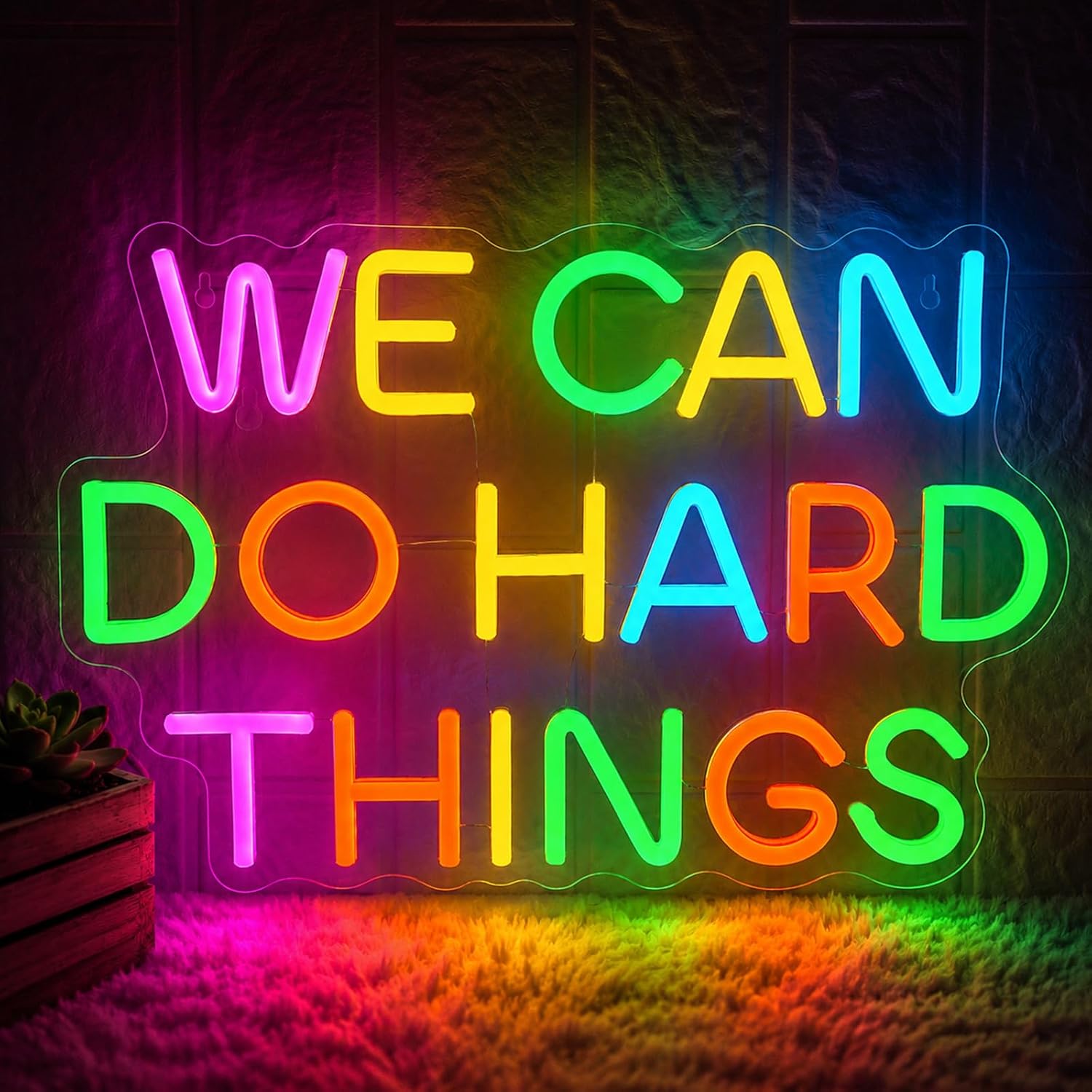 「We Can Do Hard Things」LEDネオンサ - Outdoor Lighting Quotes のレビューと価格