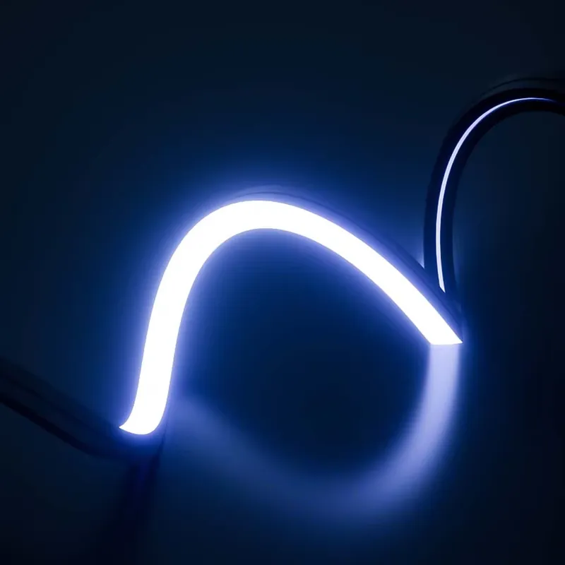 完璧な夢のような色のLEDネオンストリップライトIP65 1 - Outdoor Lighting Led Strip のレビューと価格